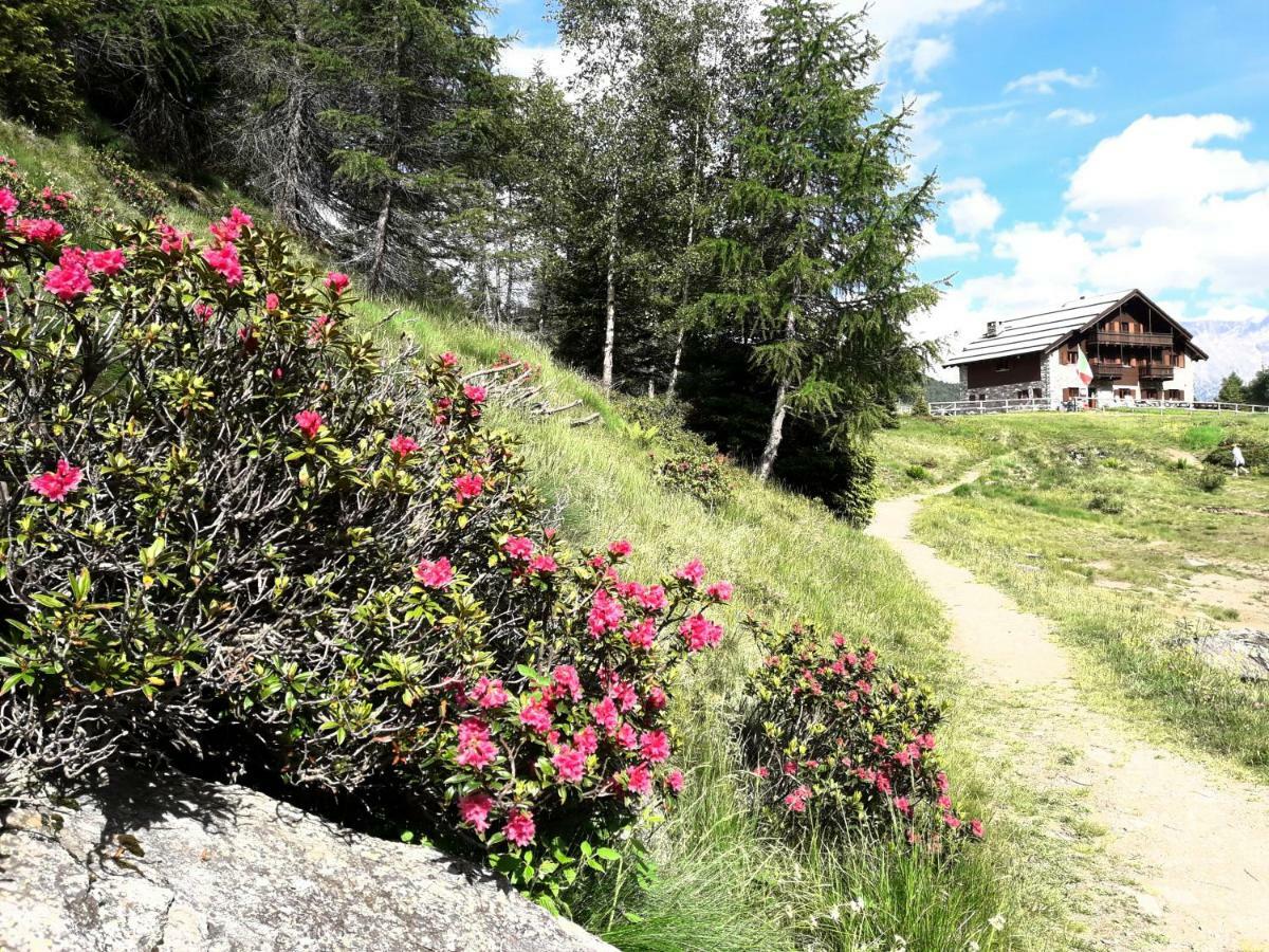 Rifugio Al Lago Del Mortirolo In Inverno Raggiungibile Solo A Piedi Monno Exteriér fotografie